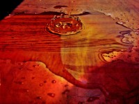 /album/kepek/vizcsepp-jpg/