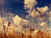 /album/kepek/egre-jpg/