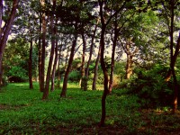 /album/kepek/ligweterd-jpg/