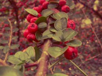 /album/kepek/kep02-jpg/