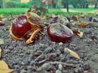 /album/kepek/kep03-jpg/