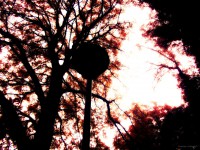 /album/kepek/kep05-jpg/