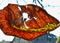 /album/kepek/kep08-jpg/