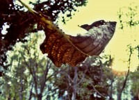 /album/kepek/kep10-jpg/