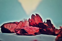 /album/kepek/vmi-jpg/