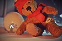 /album/kepek/macko-jpg/